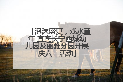 泡沫盛夏，戏水童年 宜宾长宁西城幼儿园及丽雅分园开展庆六一活动