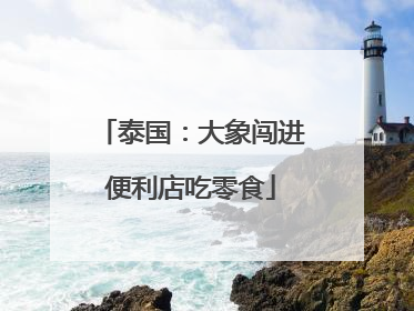 泰国：大象闯进便利店吃零食