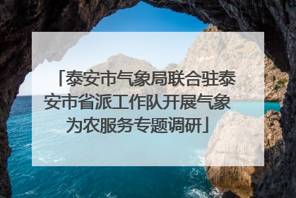 泰安市气象局联合驻泰安市省派工作队开展气象为农服务专题调研