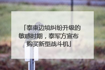 泰柬边境纠纷升级的敏感时期，泰军方宣布购买新型战斗机
