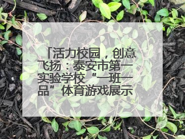 活力校园，创意飞扬：泰安市第一实验学校“一班一品”体育游戏展示精彩纷呈