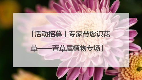 活动招募丨专家带您识花草——萱草属植物专场