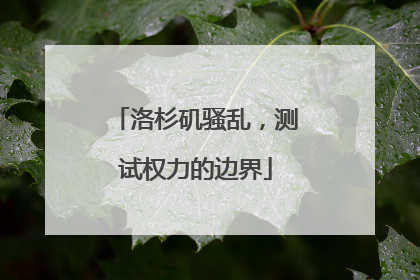 洛杉矶骚乱，测试权力的边界