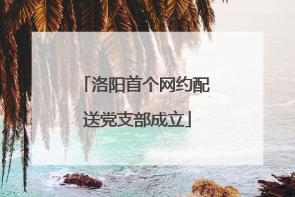 洛阳首个网约配送党支部成立
