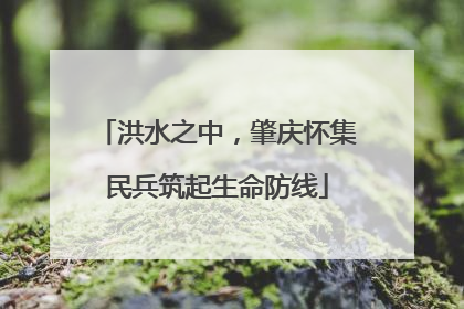 洪水之中，肇庆怀集民兵筑起生命防线