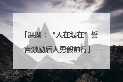 洪湖：“人在堤在”誓言激励后人勇毅前行