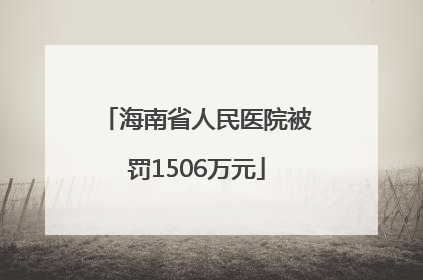海南省人民医院被罚1506万元