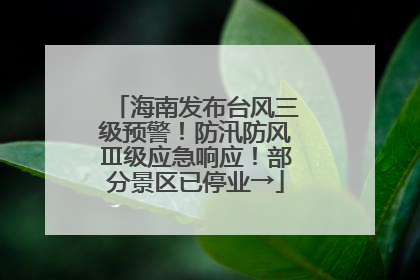 海南发布台风三级预警！防汛防风Ⅲ级应急响应！部分景区已停业→