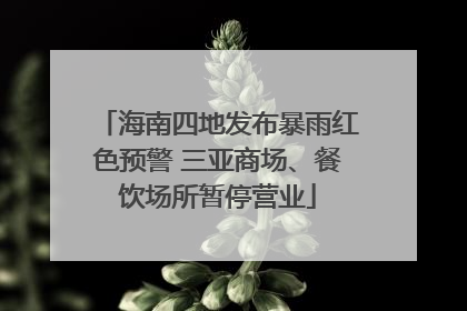 海南四地发布暴雨红色预警 三亚商场、餐饮场所暂停营业