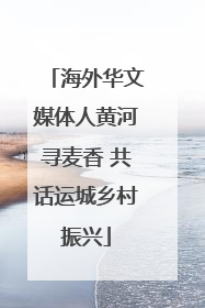 海外华文媒体人黄河寻麦香 共话运城乡村振兴