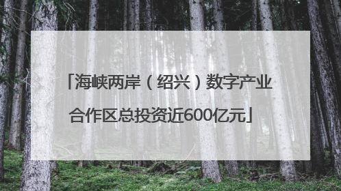 海峡两岸（绍兴）数字产业合作区总投资近600亿元