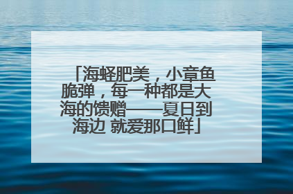 海蛏肥美，小章鱼脆弹，每一种都是大海的馈赠——夏日到海边 就爱那口鲜