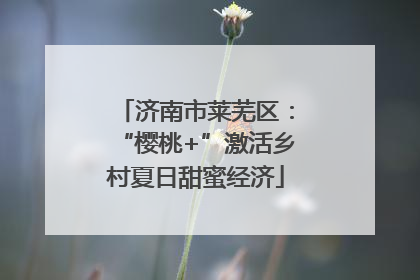 济南市莱芜区：“樱桃+”激活乡村夏日甜蜜经济