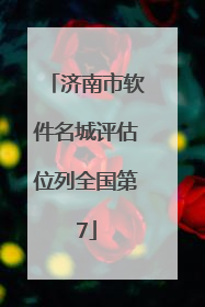 济南市软件名城评估位列全国第7