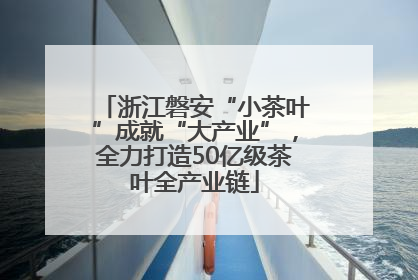 浙江磐安“小茶叶”成就“大产业”，全力打造50亿级茶叶全产业链