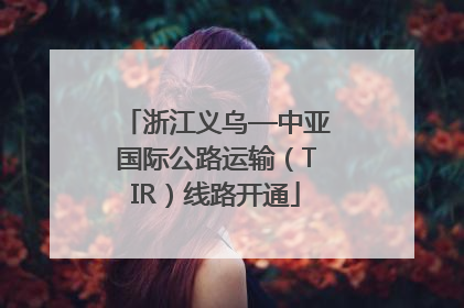 浙江义乌—中亚国际公路运输（TIR）线路开通