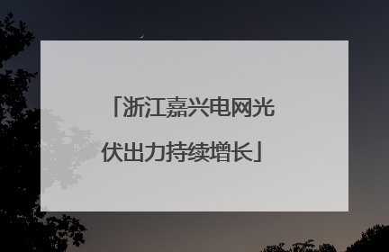 浙江嘉兴电网光伏出力持续增长