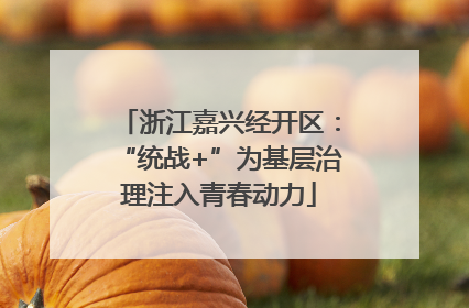 浙江嘉兴经开区：“统战+”为基层治理注入青春动力