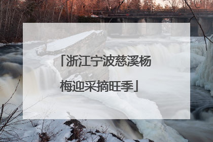 浙江宁波慈溪杨梅迎采摘旺季