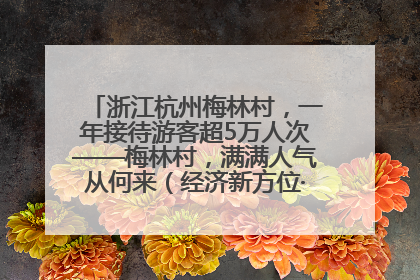浙江杭州梅林村，一年接待游客超5万人次——梅林村，满满人气从何来（经济新方位·农村消费观察）