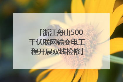浙江舟山500千伏联网输变电工程开展双线检修