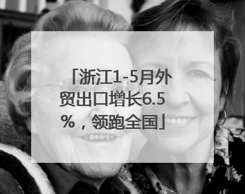 浙江1-5月外贸出口增长6.5%，领跑全国