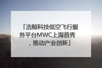 浩鲸科技低空飞行服务平台MWC上海首秀，推动产业创新