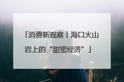 消费新观察丨海口火山岩上的“甜蜜经济”