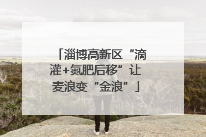 淄博高新区“滴灌+氮肥后移”让麦浪变“金浪”