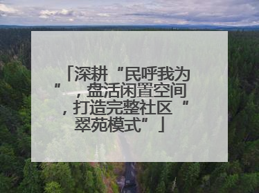 深耕“民呼我为”，盘活闲置空间，打造完整社区“翠苑模式”