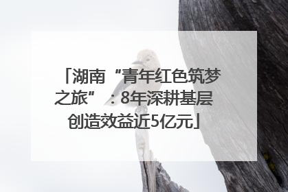 湖南“青年红色筑梦之旅”：8年深耕基层创造效益近5亿元