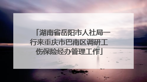 湖南省岳阳市人社局一行来重庆市巴南区调研工伤保险经办管理工作