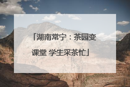 湖南常宁：茶园变课堂 学生采茶忙