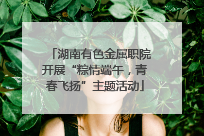 湖南有色金属职院开展“粽情端午，青春飞扬”主题活动