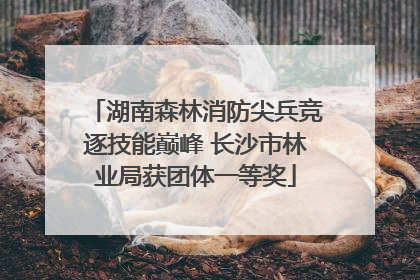 湖南森林消防尖兵竞逐技能巅峰 长沙市林业局获团体一等奖