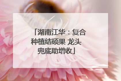 湖南江华：复合种植结硕果 龙头兜底助增收