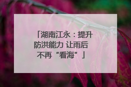 湖南江永：提升防洪能力 让雨后不再“看海”