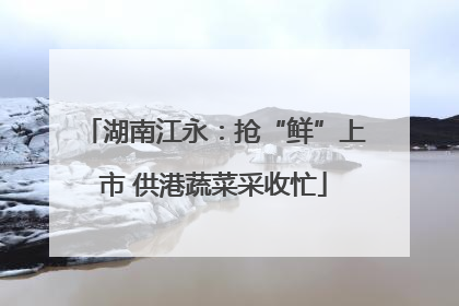 湖南江永：抢“鲜”上市 供港蔬菜采收忙
