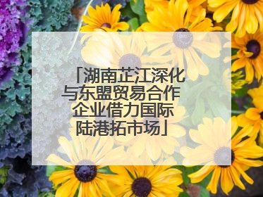 湖南芷江深化与东盟贸易合作 企业借力国际陆港拓市场