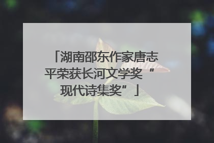 湖南邵东作家唐志平荣获长河文学奖“现代诗集奖”