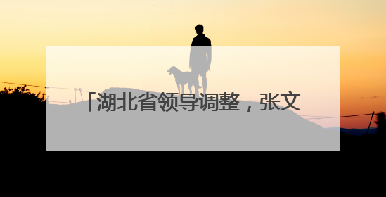 湖北省领导调整，张文兵、黎东辉同日履新