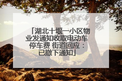 湖北十堰一小区物业发通知收取电动车停车费 街道回应：已撤下通知