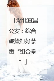 湖北宜昌公安：综合施策打好禁毒“组合拳”