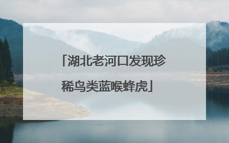 湖北老河口发现珍稀鸟类蓝喉蜂虎