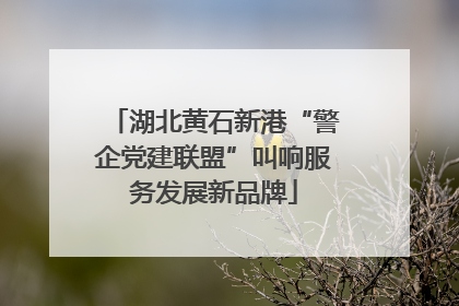 湖北黄石新港“警企党建联盟”叫响服务发展新品牌
