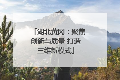 湖北黄冈：聚焦创新与质量 打造三维新模式