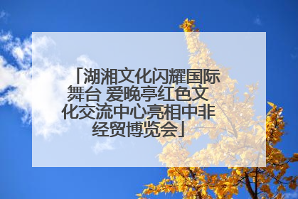 湖湘文化闪耀国际舞台 爱晚亭红色文化交流中心亮相中非经贸博览会