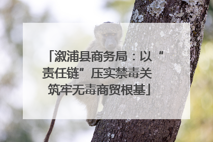 溆浦县商务局：以“责任链”压实禁毒关 筑牢无毒商贸根基