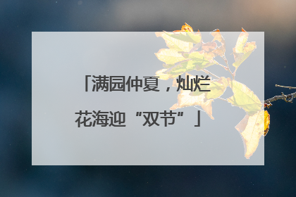 满园仲夏，灿烂花海迎“双节”