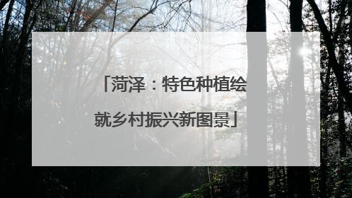 菏泽：特色种植绘就乡村振兴新图景